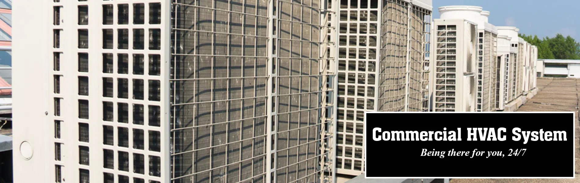 logo-image - banner-01